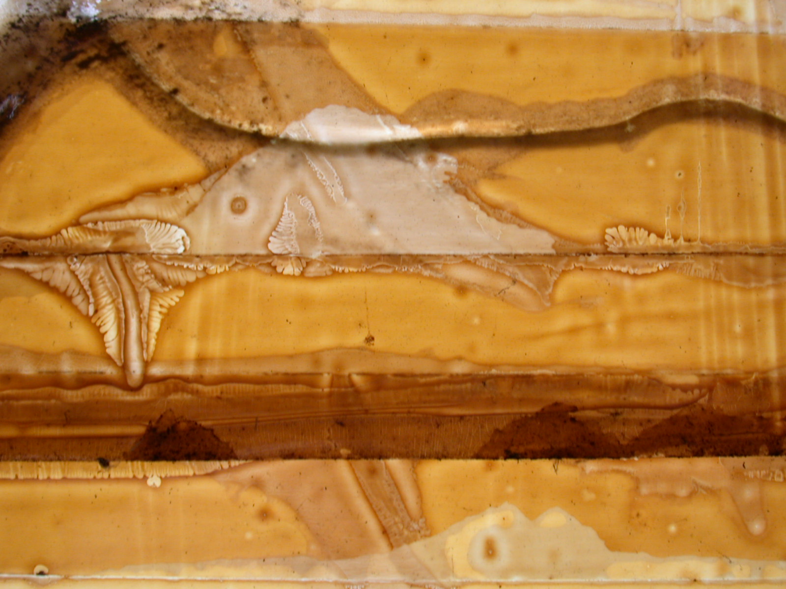 Image*After textures plastic texture goo tape weathered orange taped