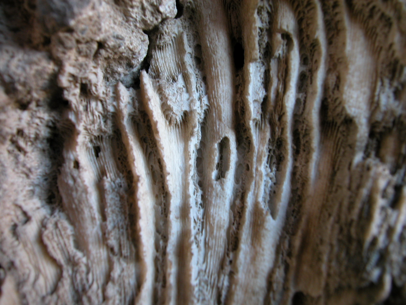 Image*After textures chalk cave wall white stone underground