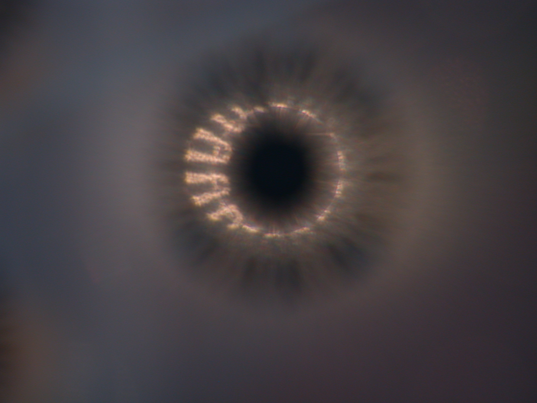 Image After Textures Lamp Round Scifi Sci Fi Shape Eye Iris Terms