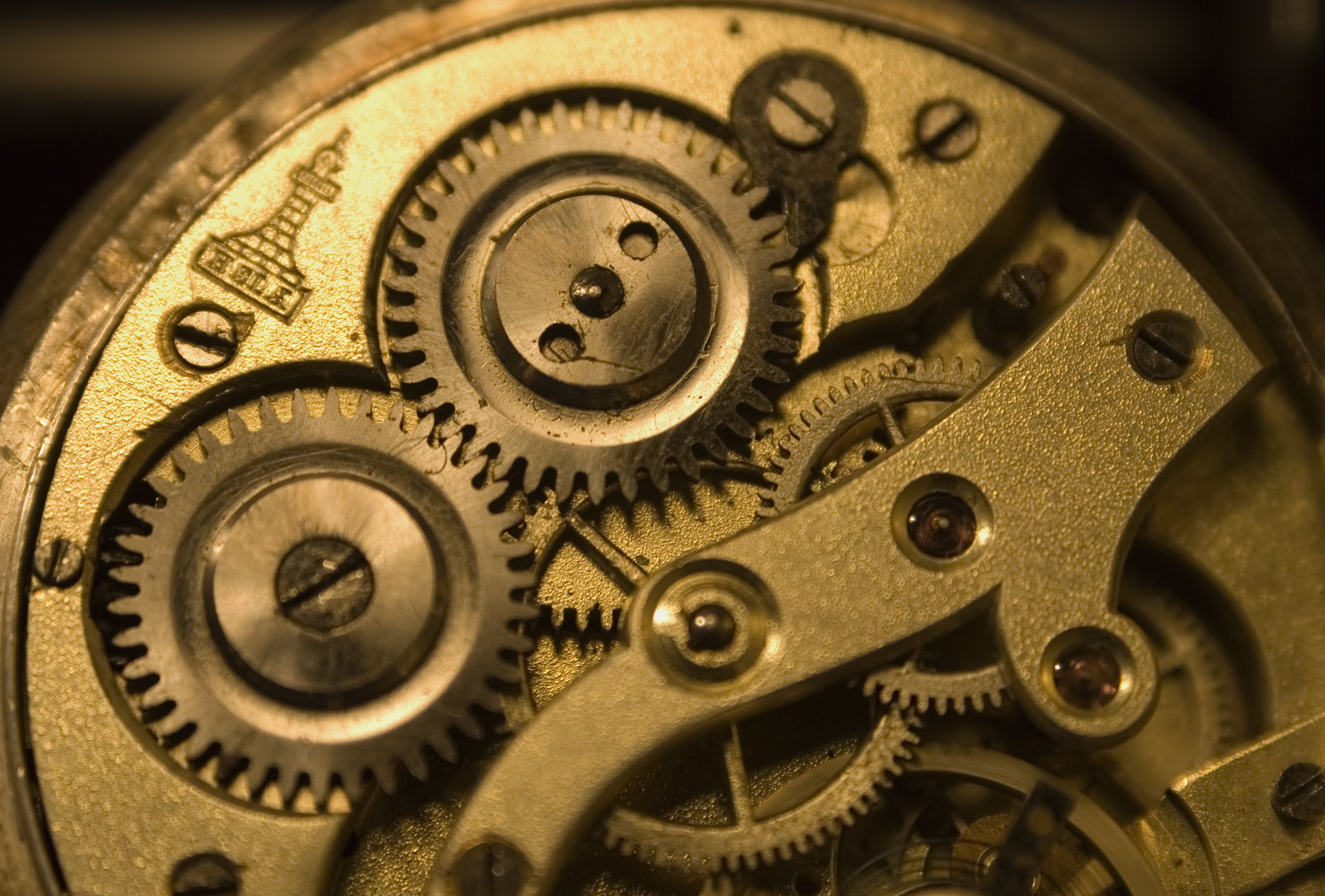 Image*After photos betina watch inerts mechanics gears clock