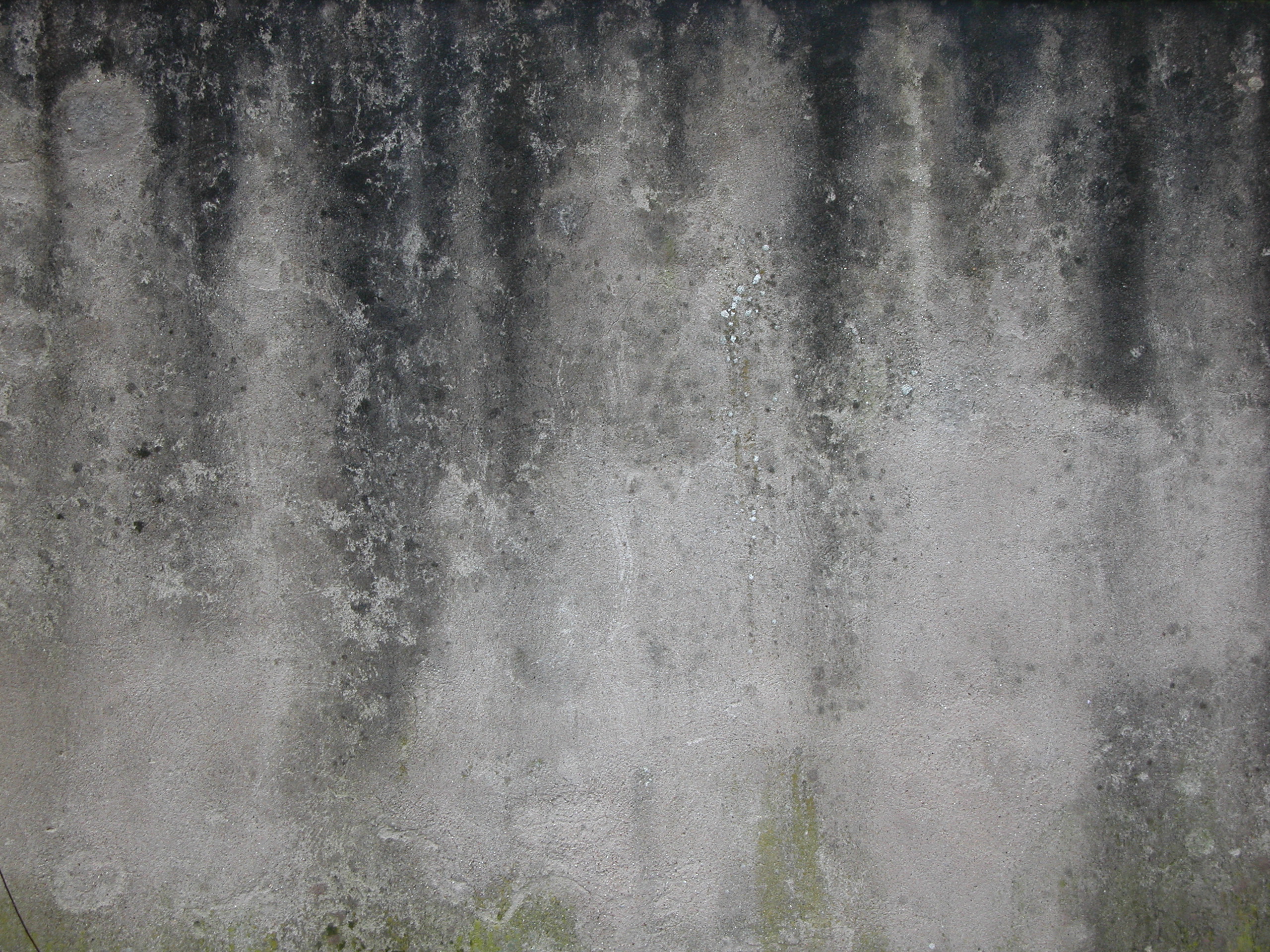 How To Clean Dirty Concrete Walls at Fernando Wellington blog