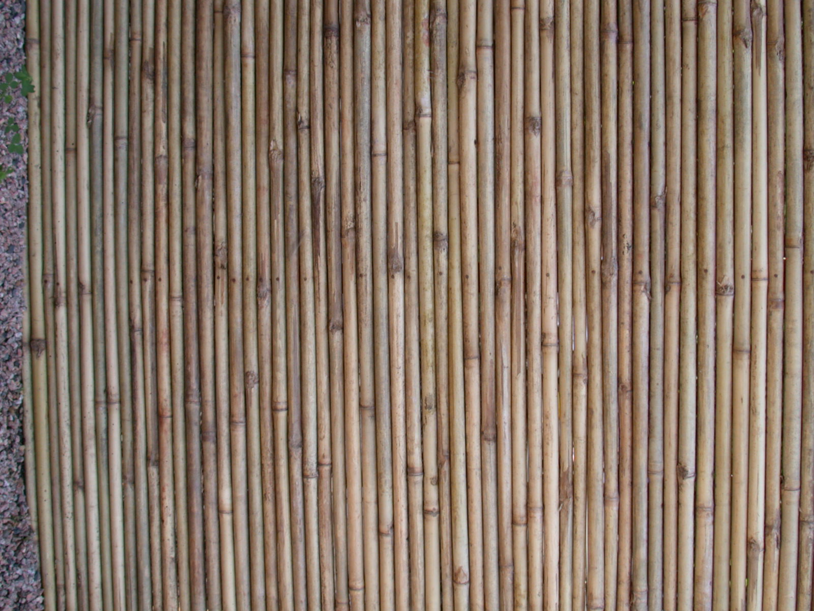 Bamboo Wall