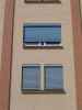rigoletto wall window windows curtains closed sun summer