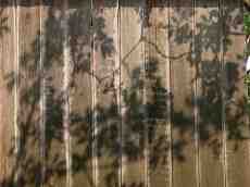 walls textures fence wood wooden texture shadow shadows leafs planks