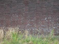 wall brick bricks stone masonry grass growing bottom weeds