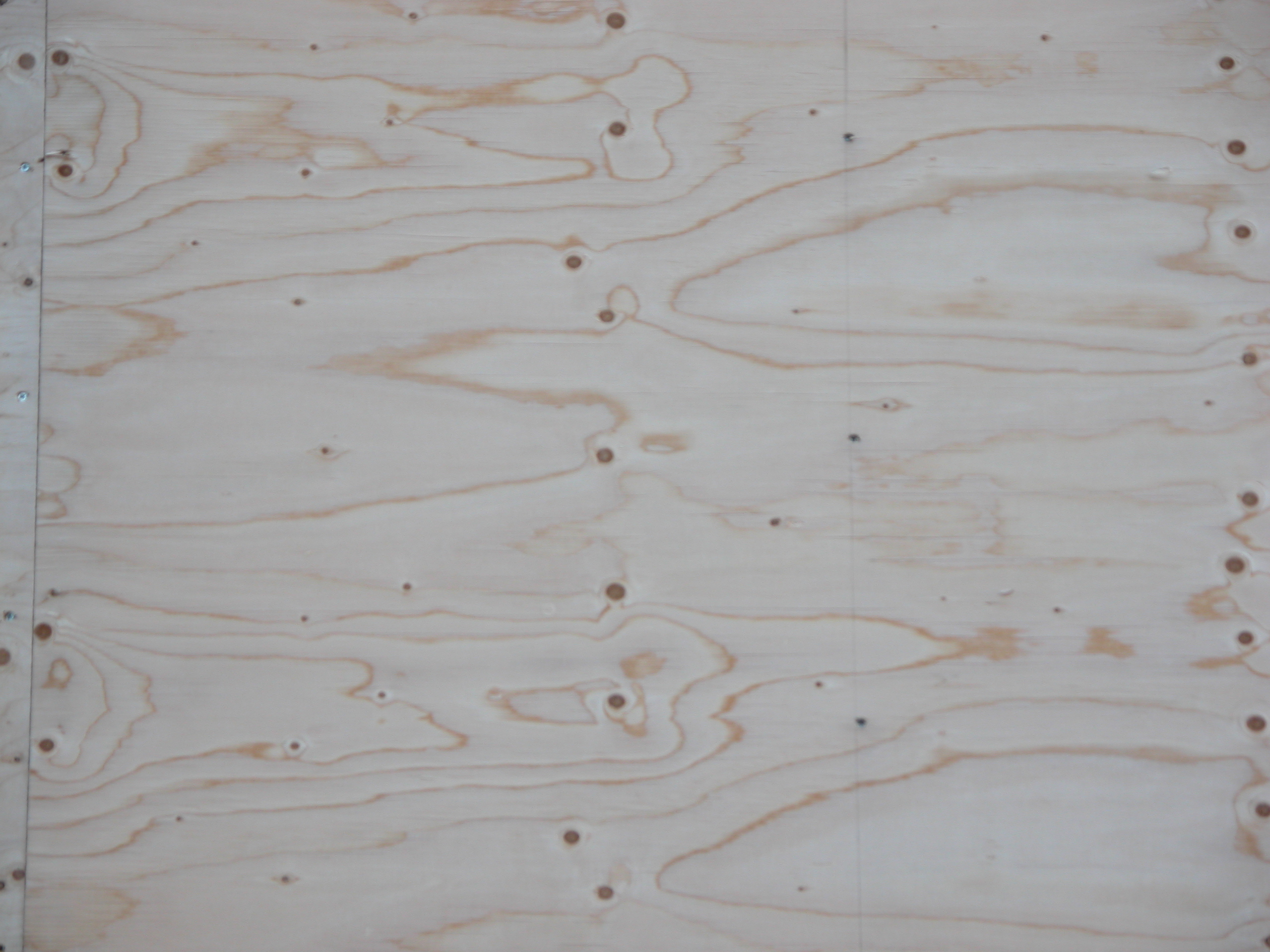 texture woods