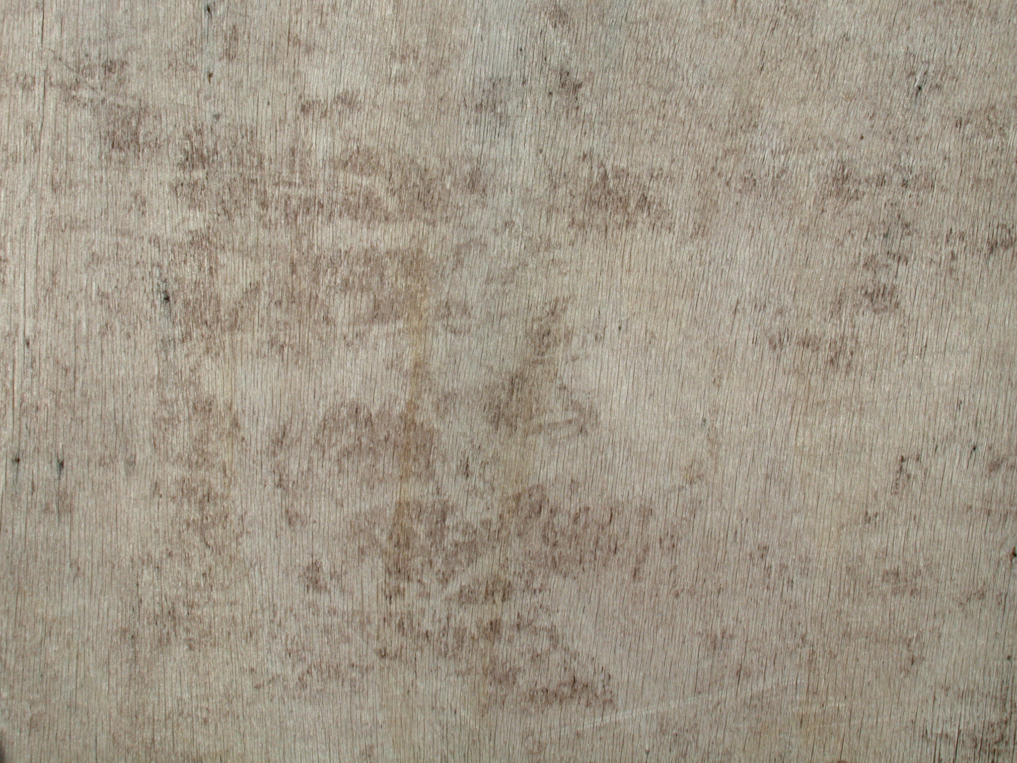 texture woods