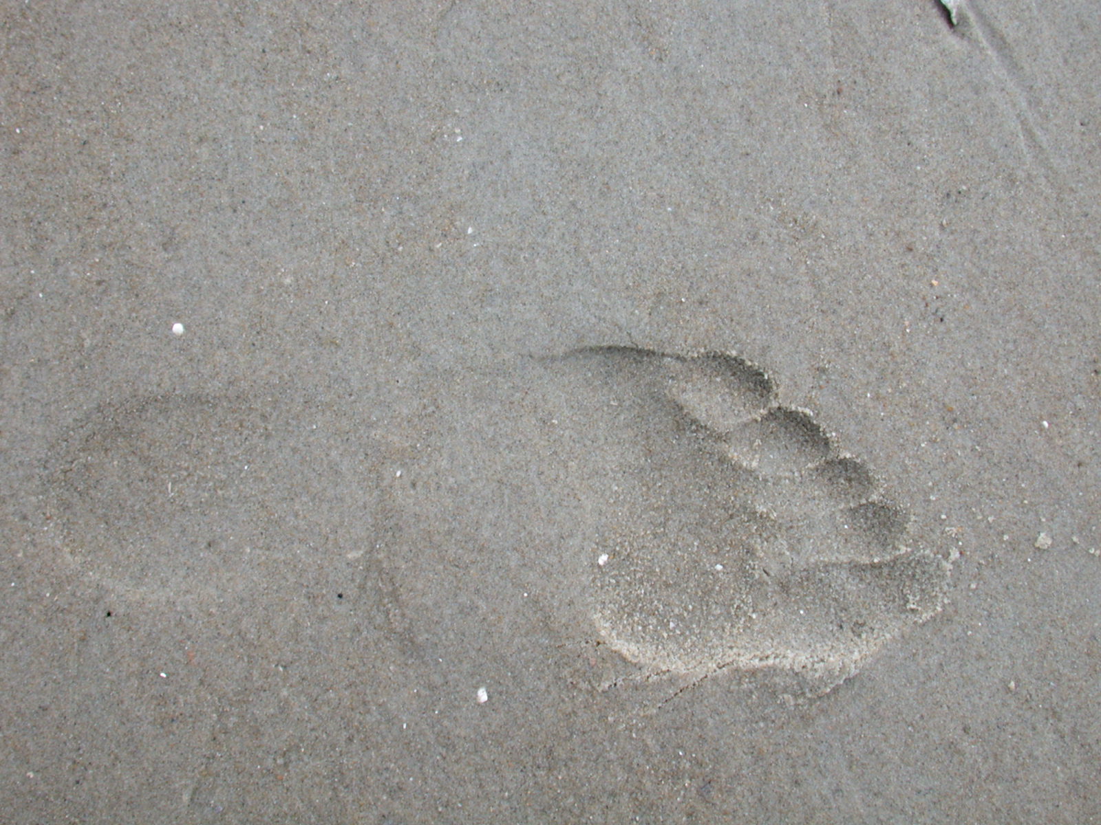 sand foot print footprint foot-print after step footstep imprint imprinted left behind