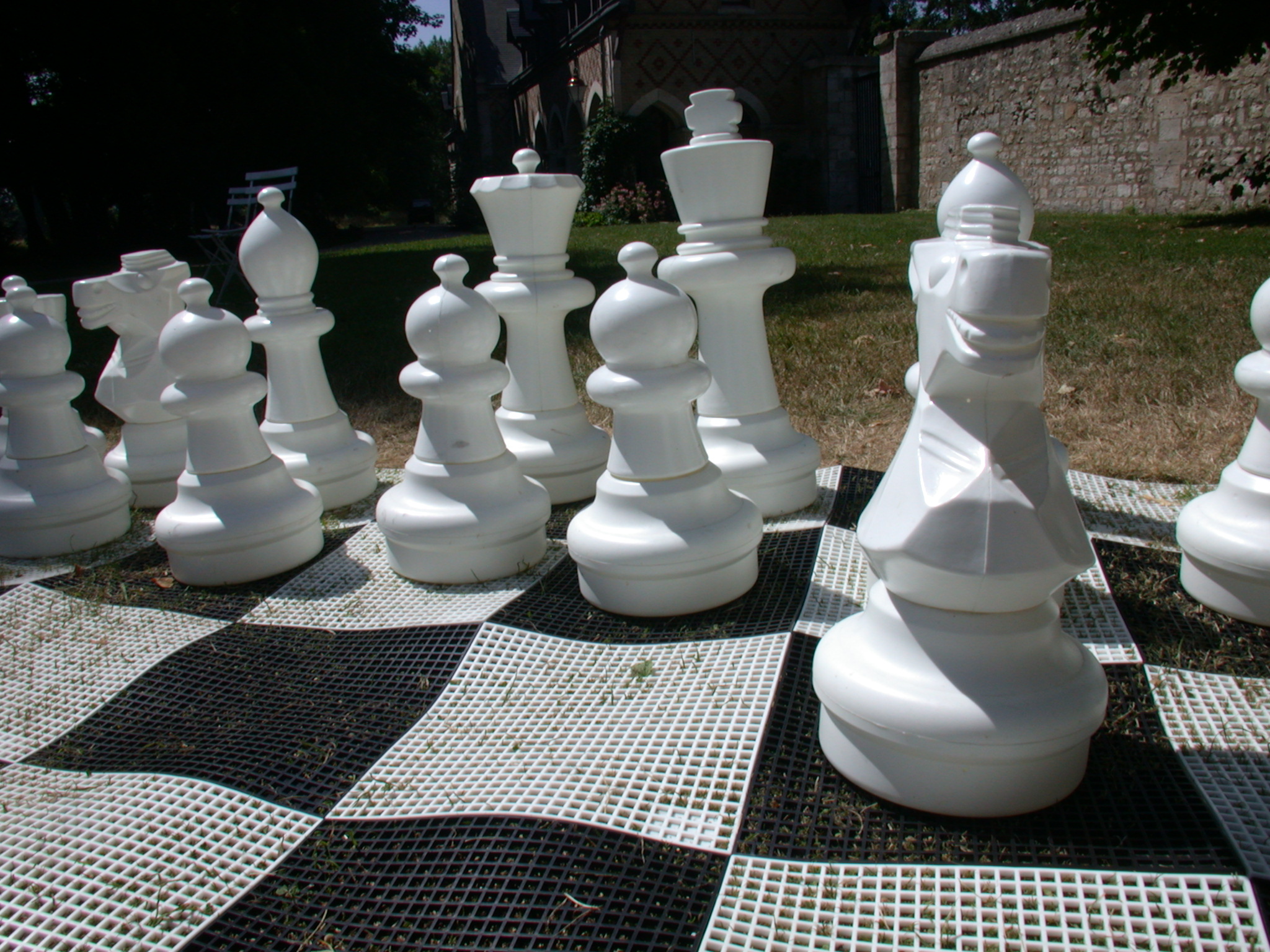 objects chess game outdoors plastic horse white