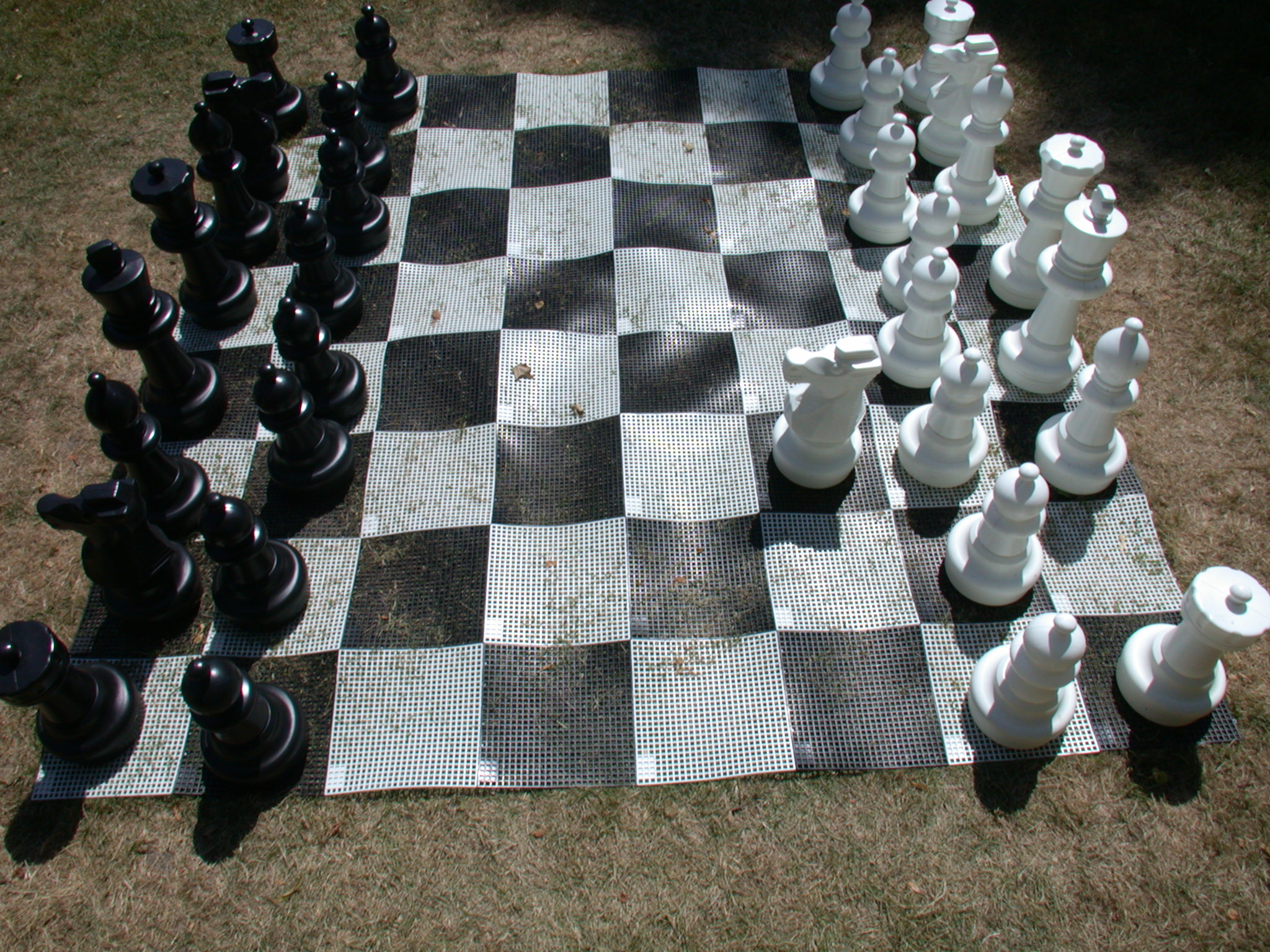 objects games chess game gameset set plastic king queen checkmate texture