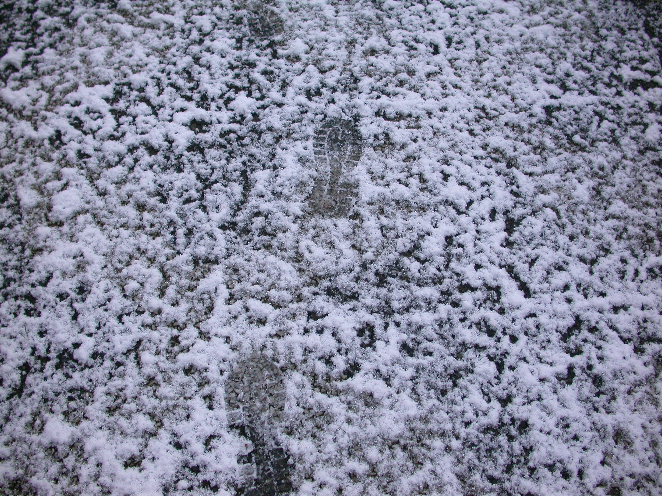 eva footsteps steps in the snow cold winter frost