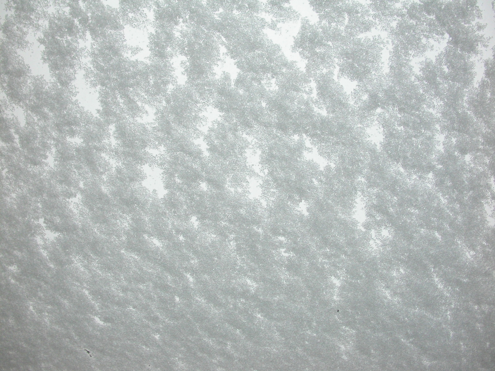 snow on car glass window cold winter frost white eva
