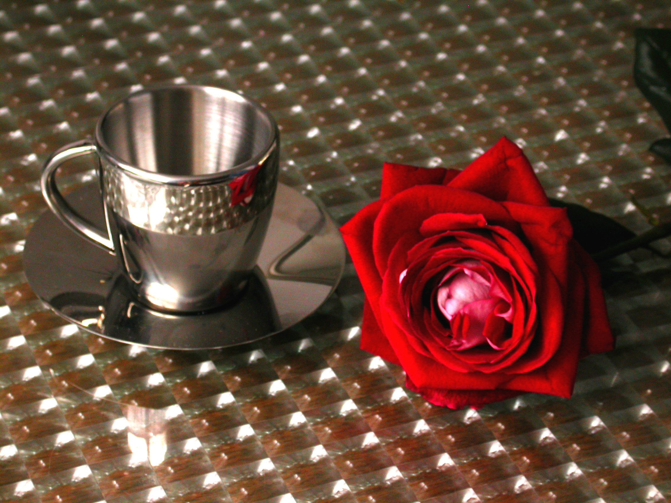 eva chrome coffee cup and a rose on a table
