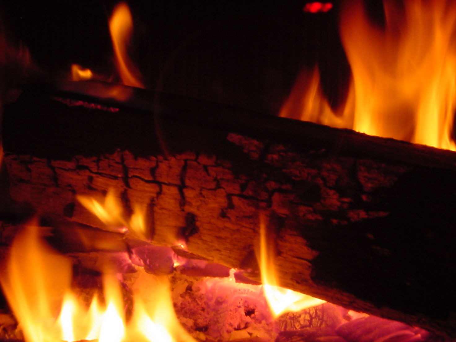 insektokutor fire campfire flames fireplace hot orange