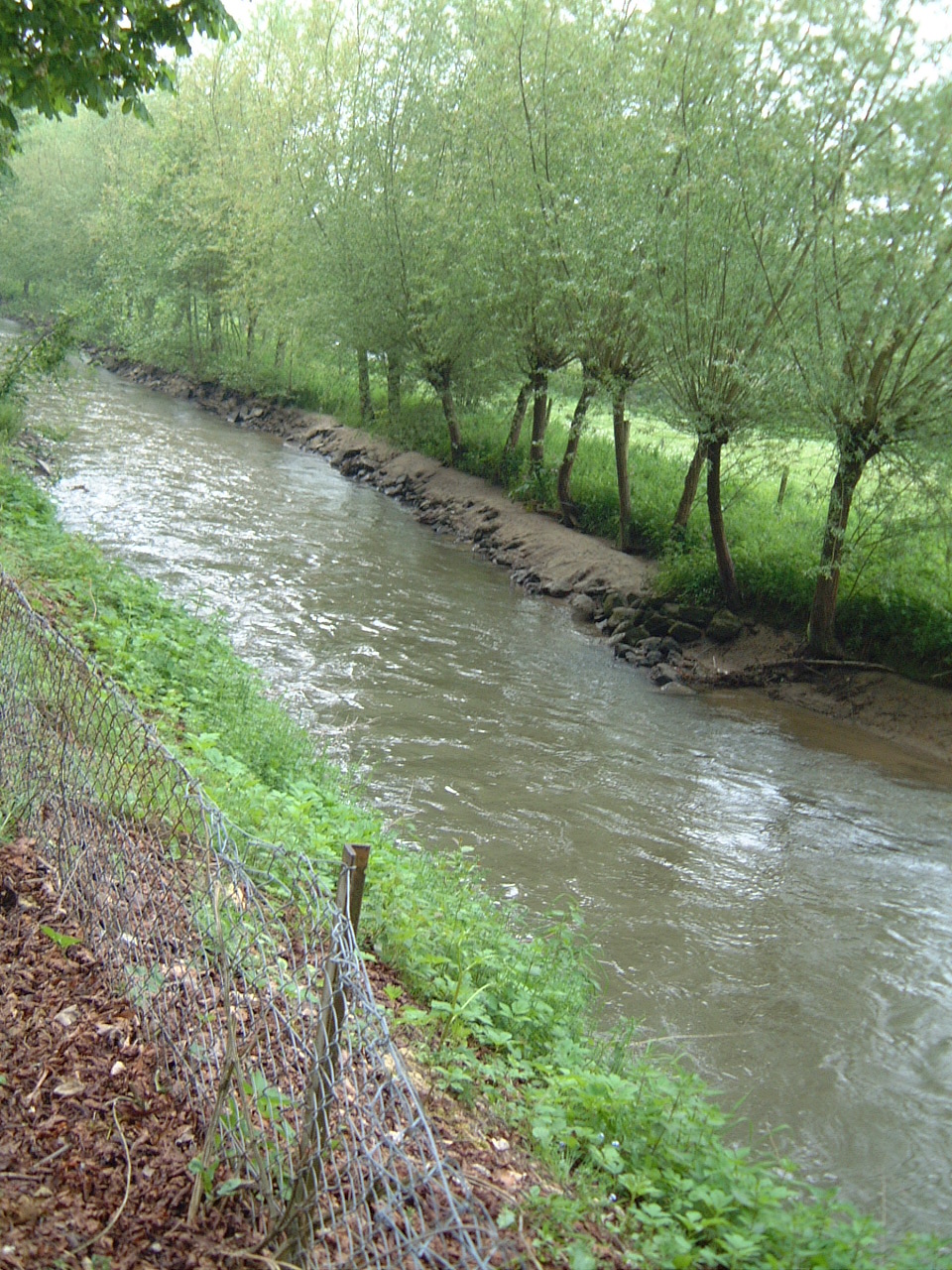 maartent brook babbling stream bank water green forest countryside