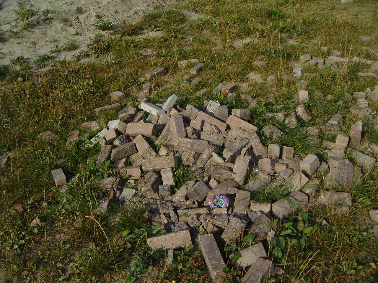 maartent pile of bricks in a field grass soda can littering