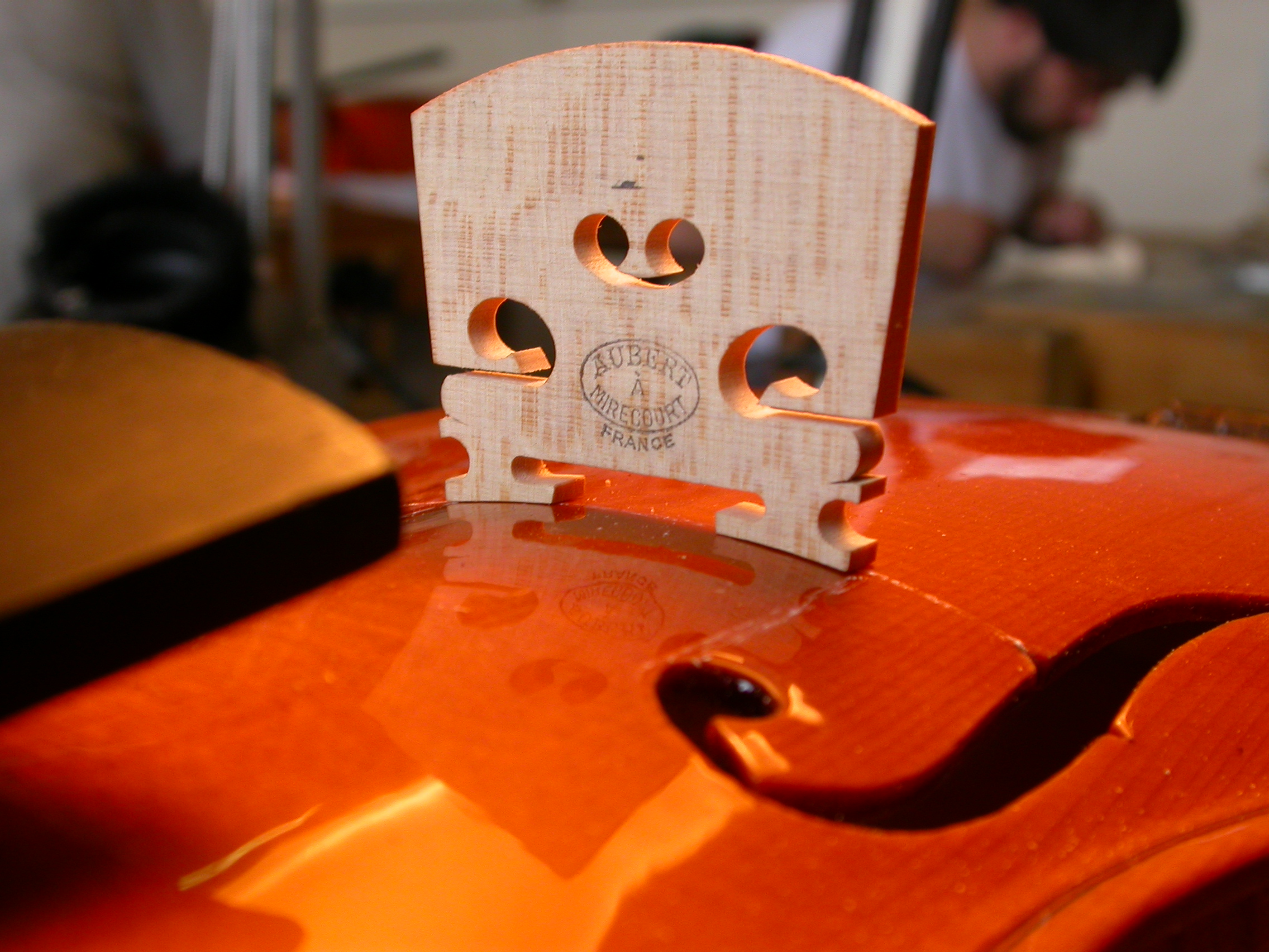 violin closeup instrument building school music wood paul