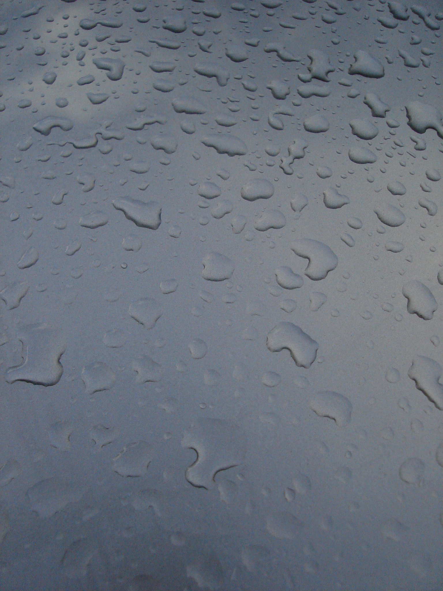 poows water drops on carpaint paint car drop moisture rain