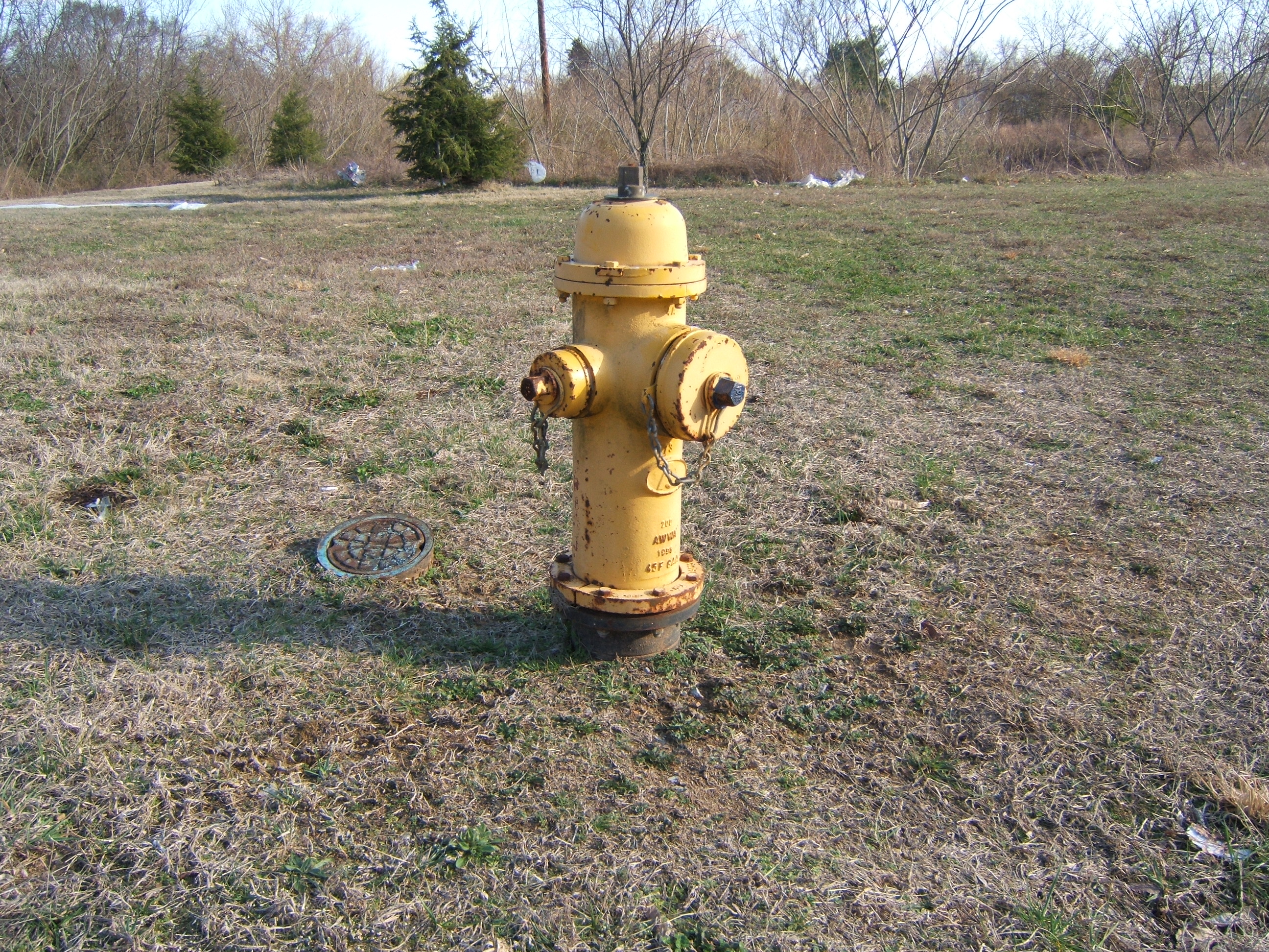 shanenieb yellow fire hydrant firehydrant grass field