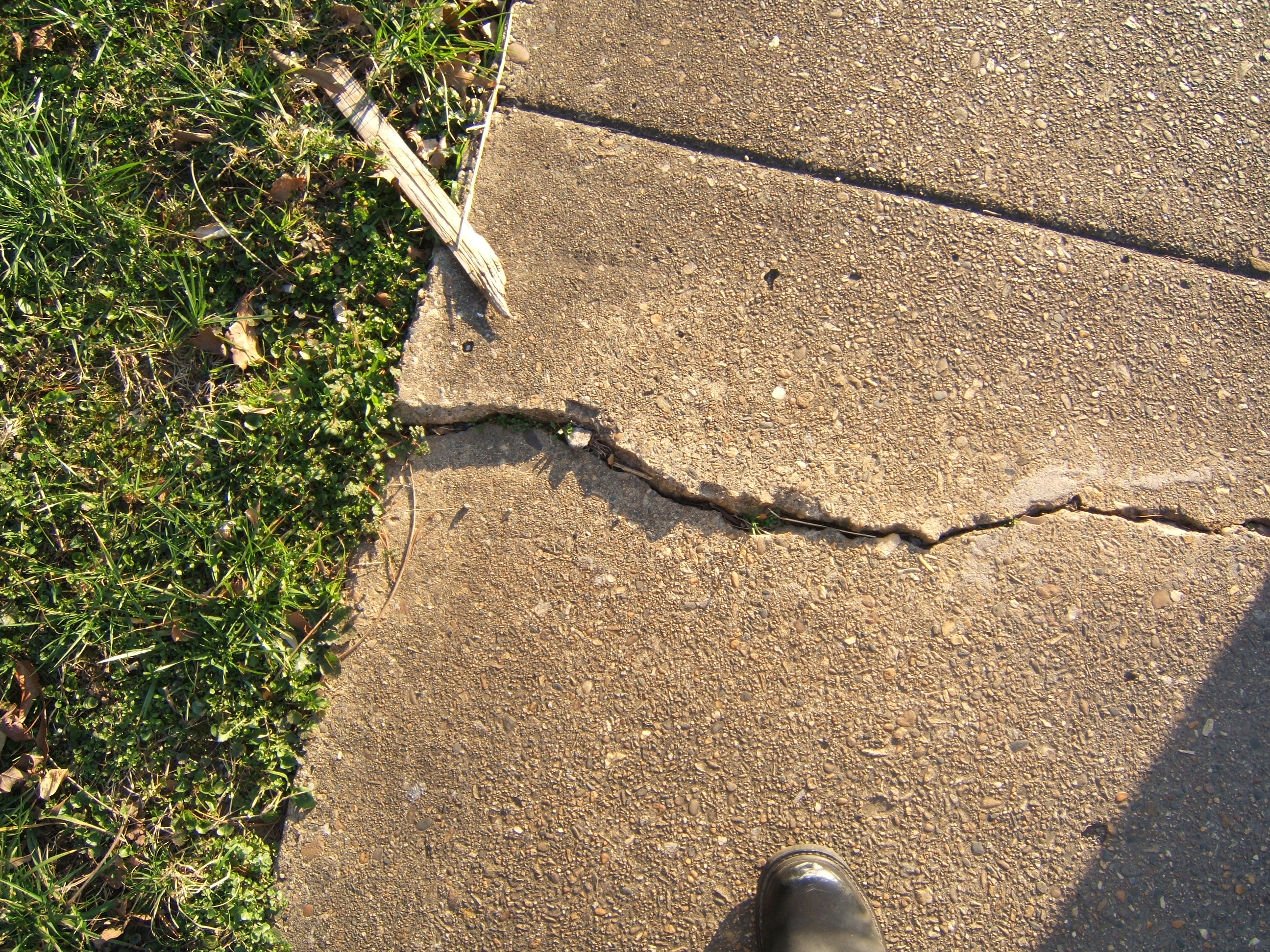 shanenieb crack in a tile fracture stone slab grass path