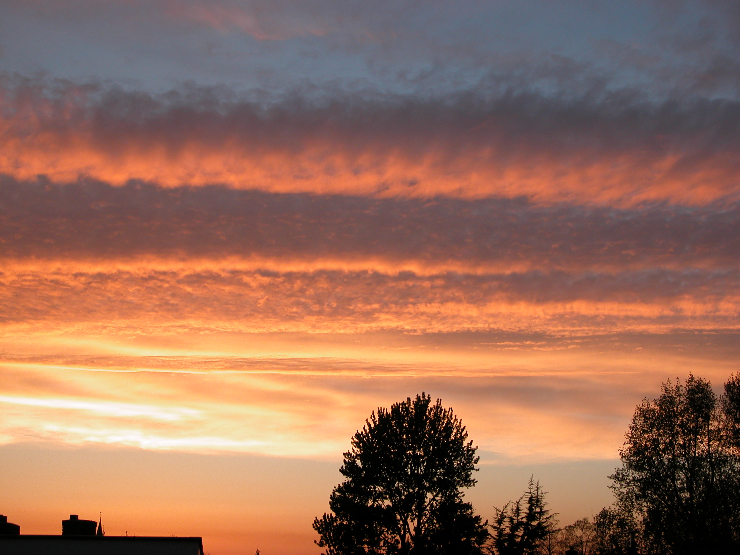 elements clouds sunset dusk dawn sunrise orange cloud sky trees silhouette