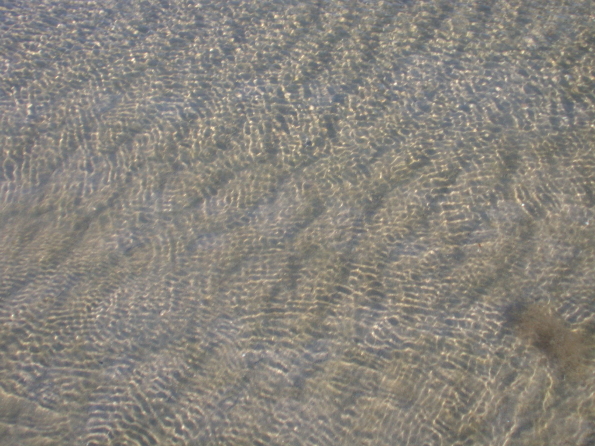 water ripples sand coast sea