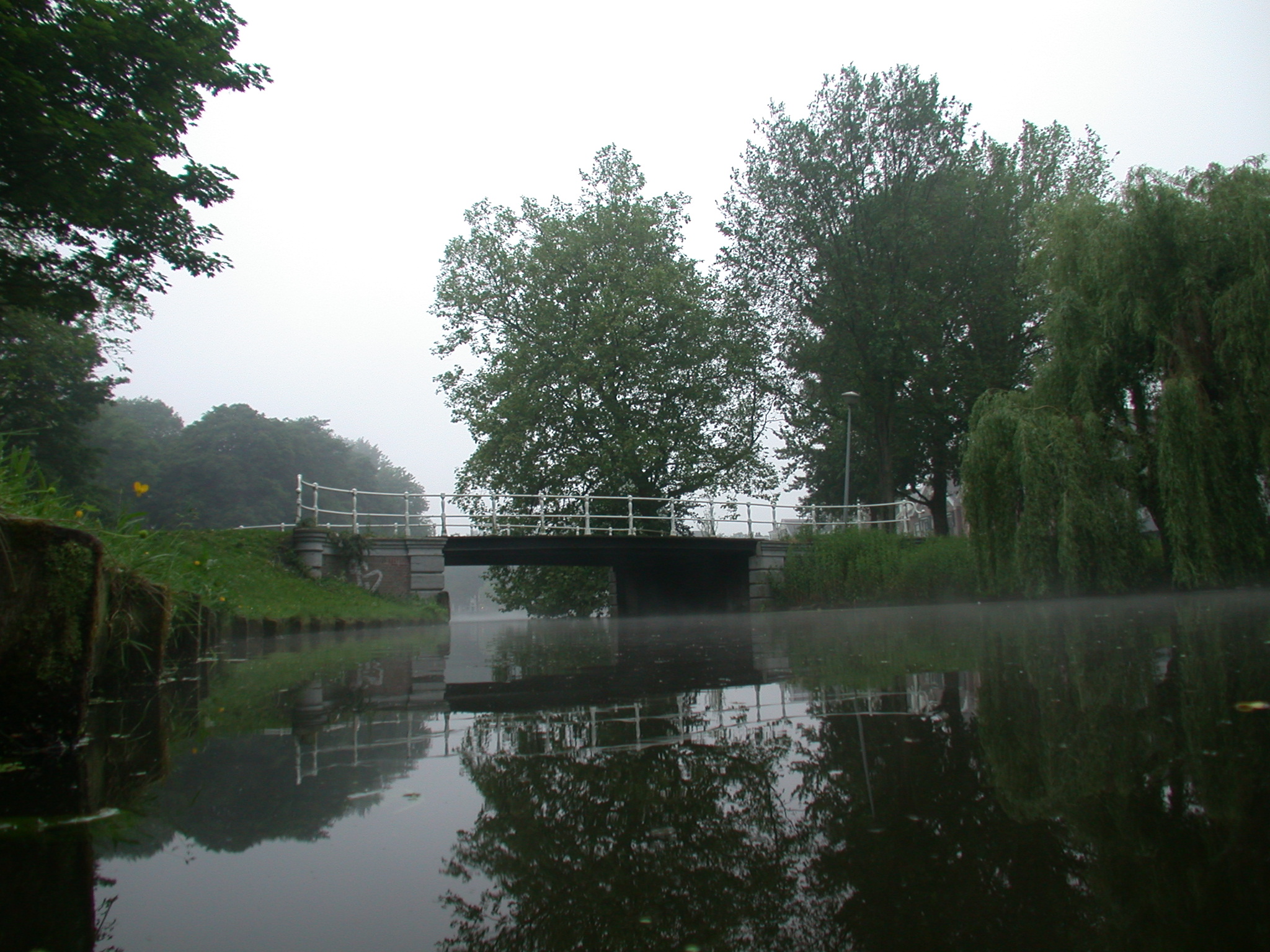 bridge tree trees ditch canal dutch image