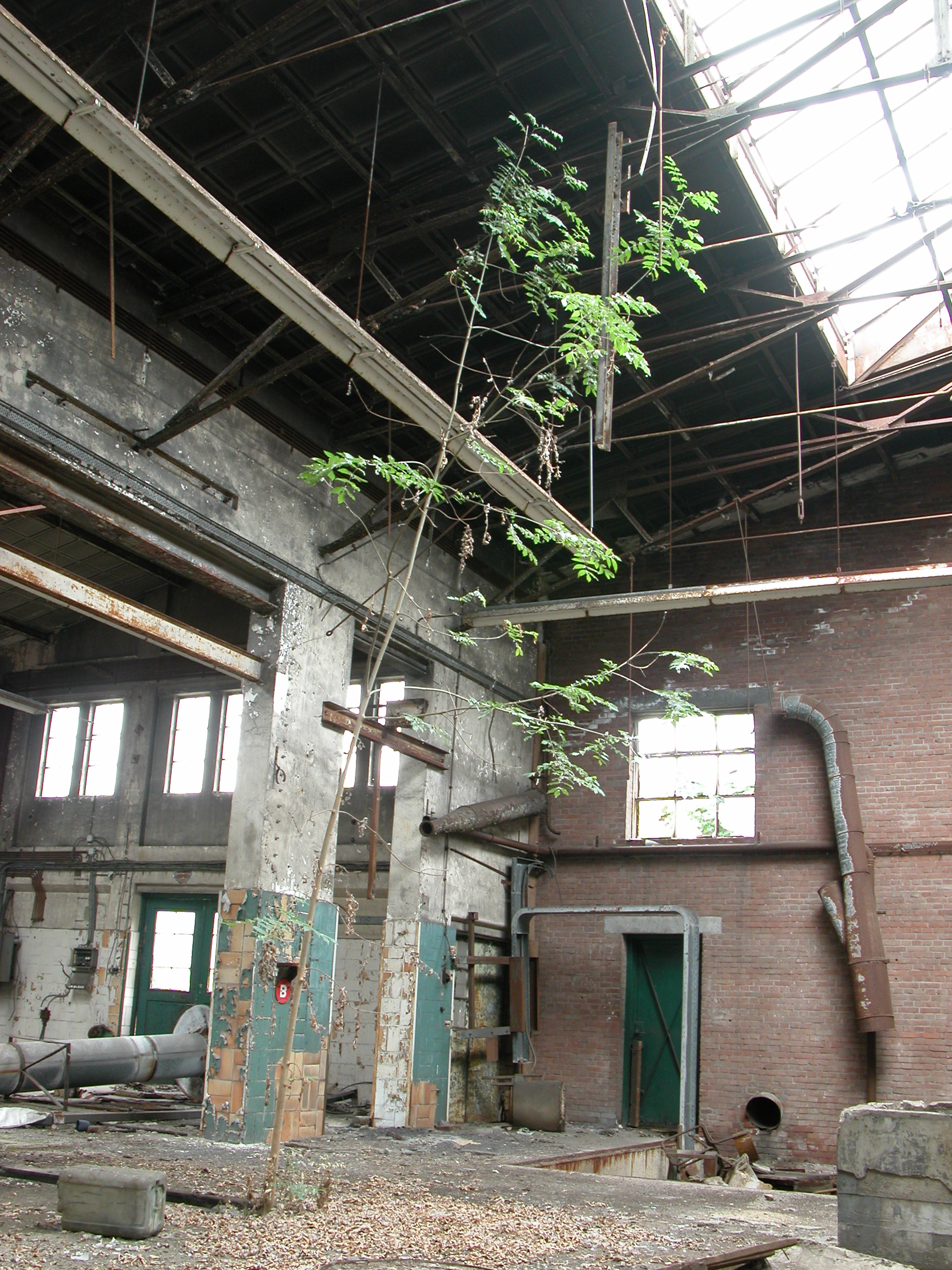 architecture interiors hall factory tree deserted ruine