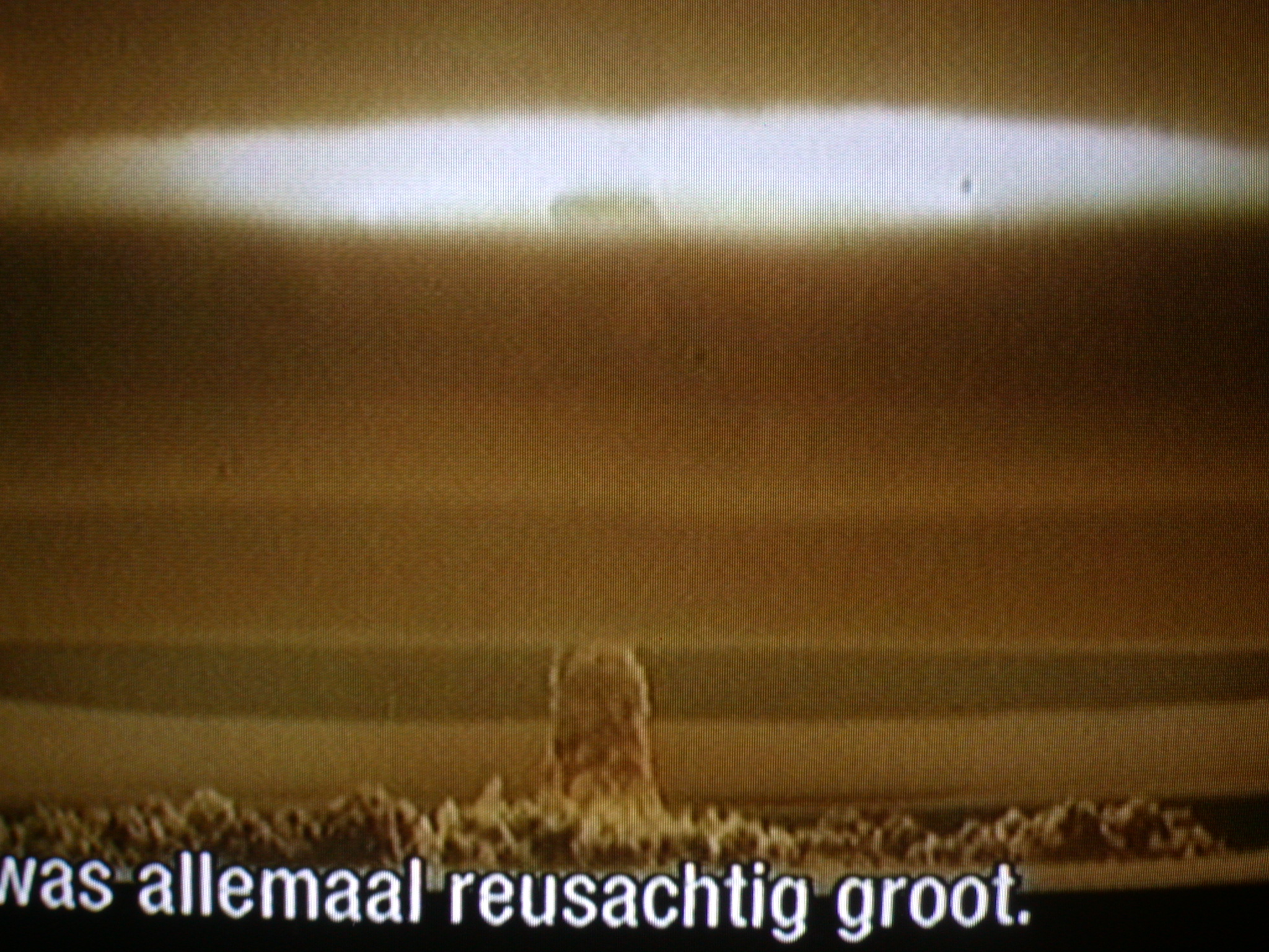 tv television bang nuclear explosion mushroom brown image