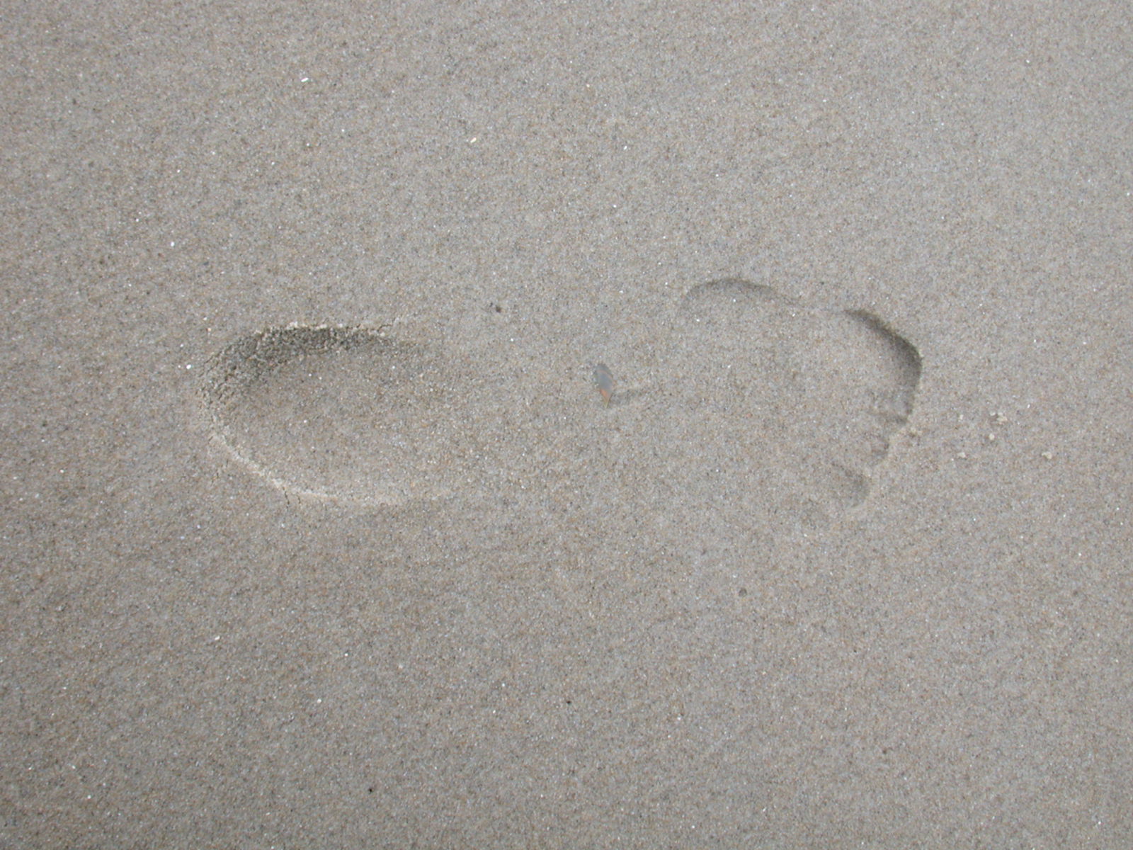 grounds sand footprint footstep foot barefoot textures beach