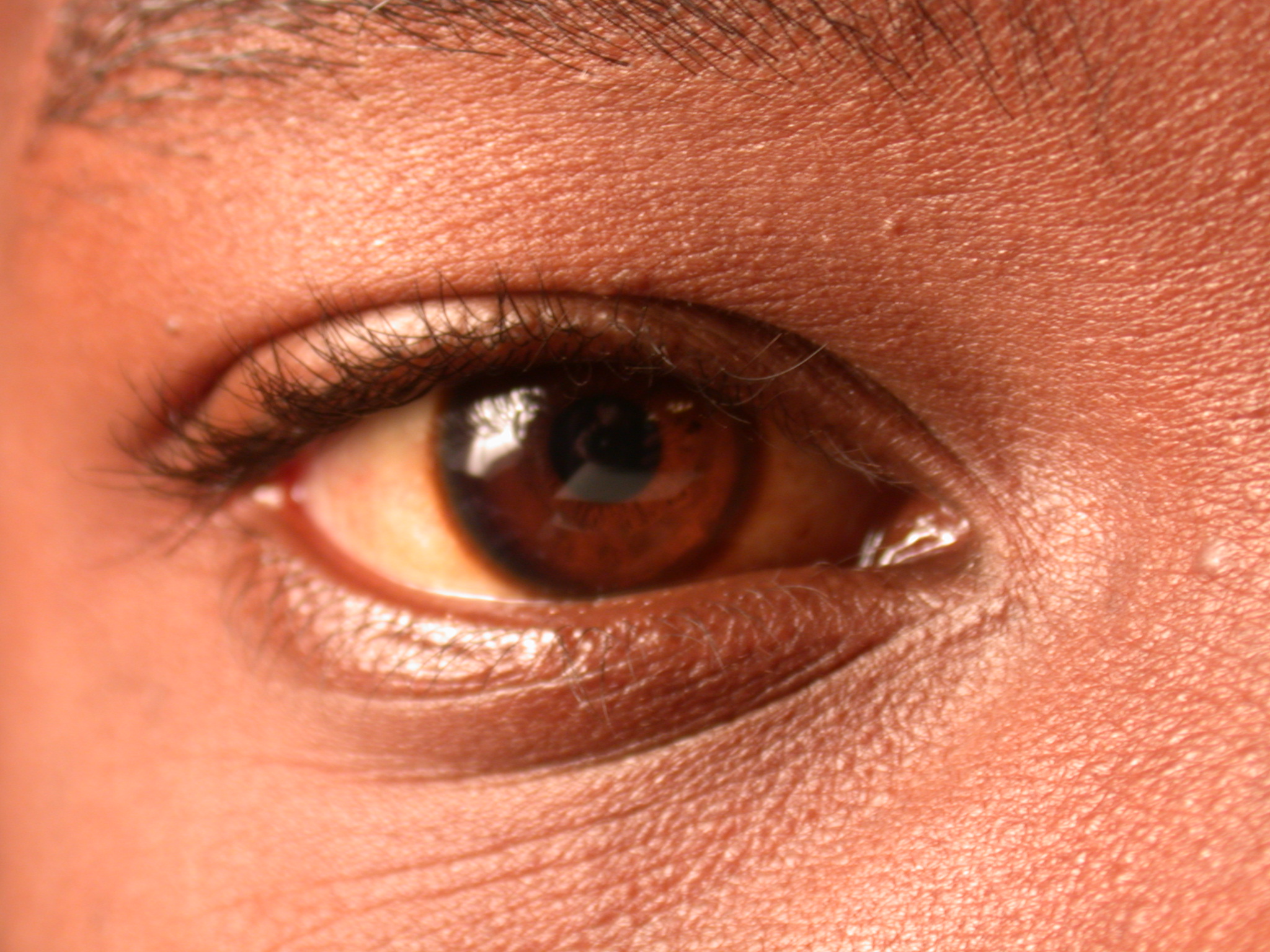 nature characters humanparts eye pupil iris hair eyelash lash brown negro