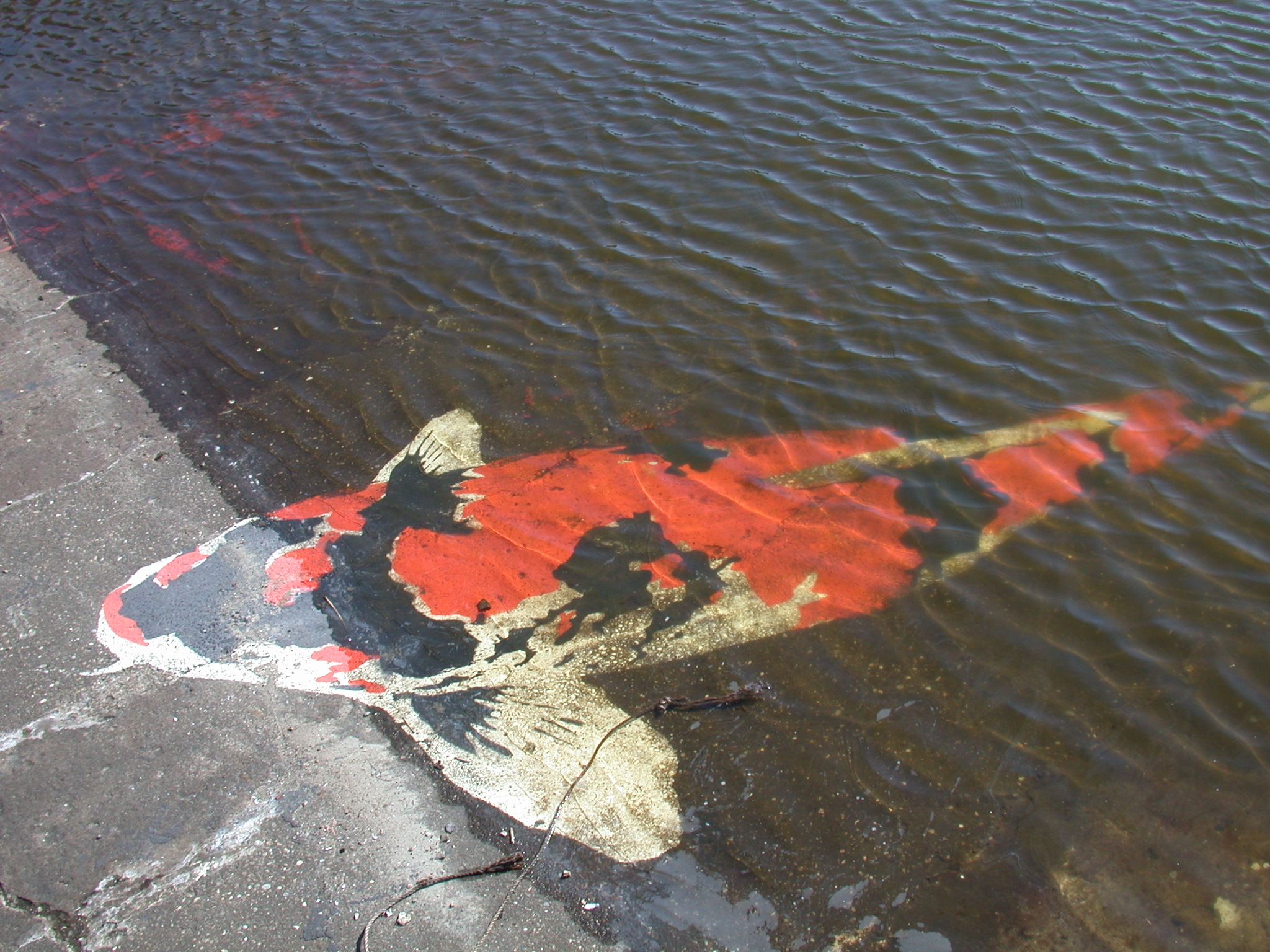 art paintings fish water goldfish animals sea ashore painted waves