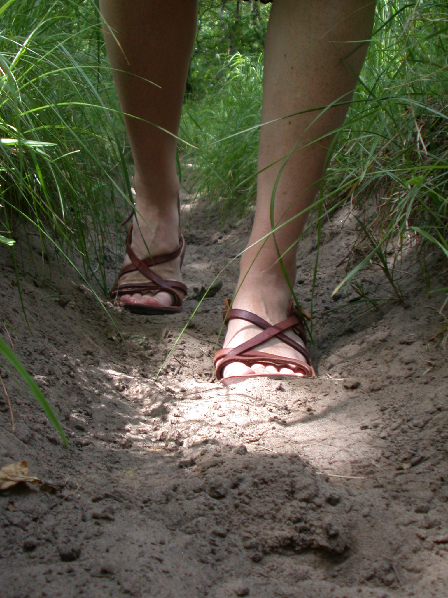 walking foot feet shoe shoes laces path walk grass nature characters humanparts leg legs woman janneke