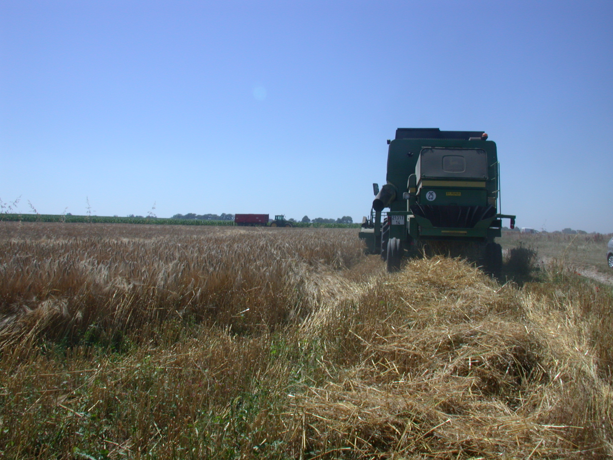 harvest grain vehicles land combine france agriculture