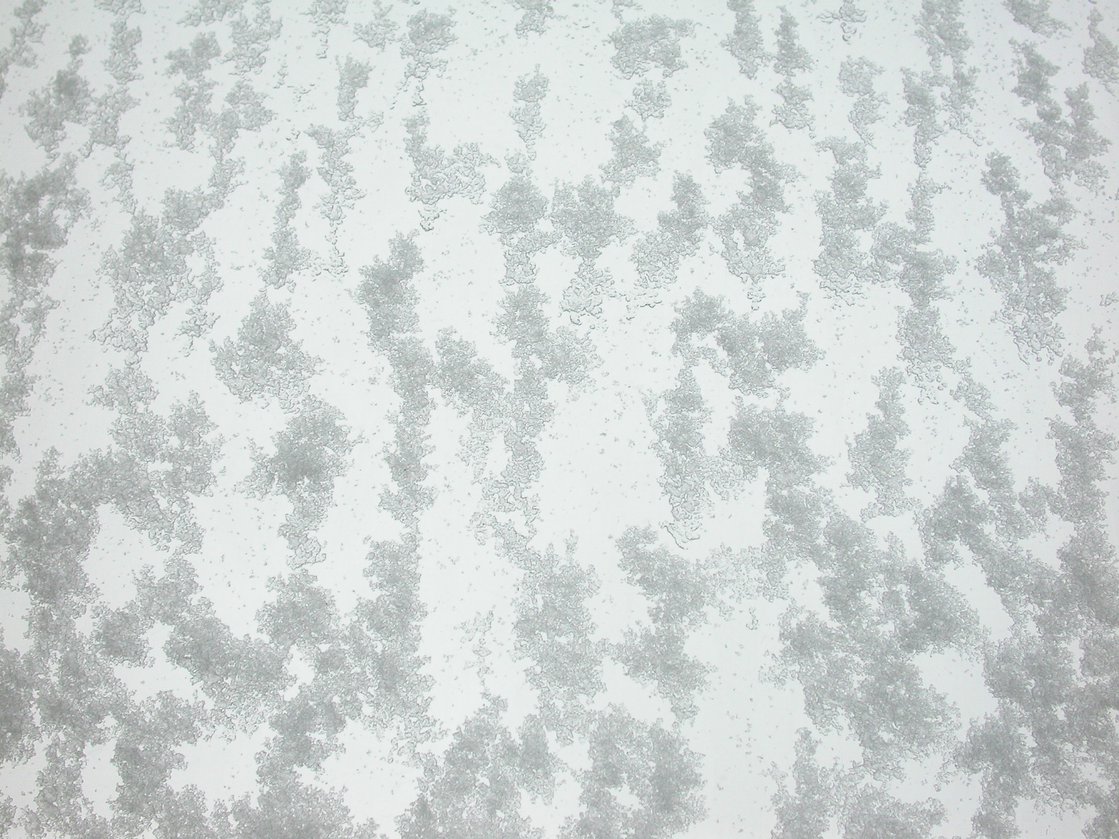 eva snow on window cold frost white winter