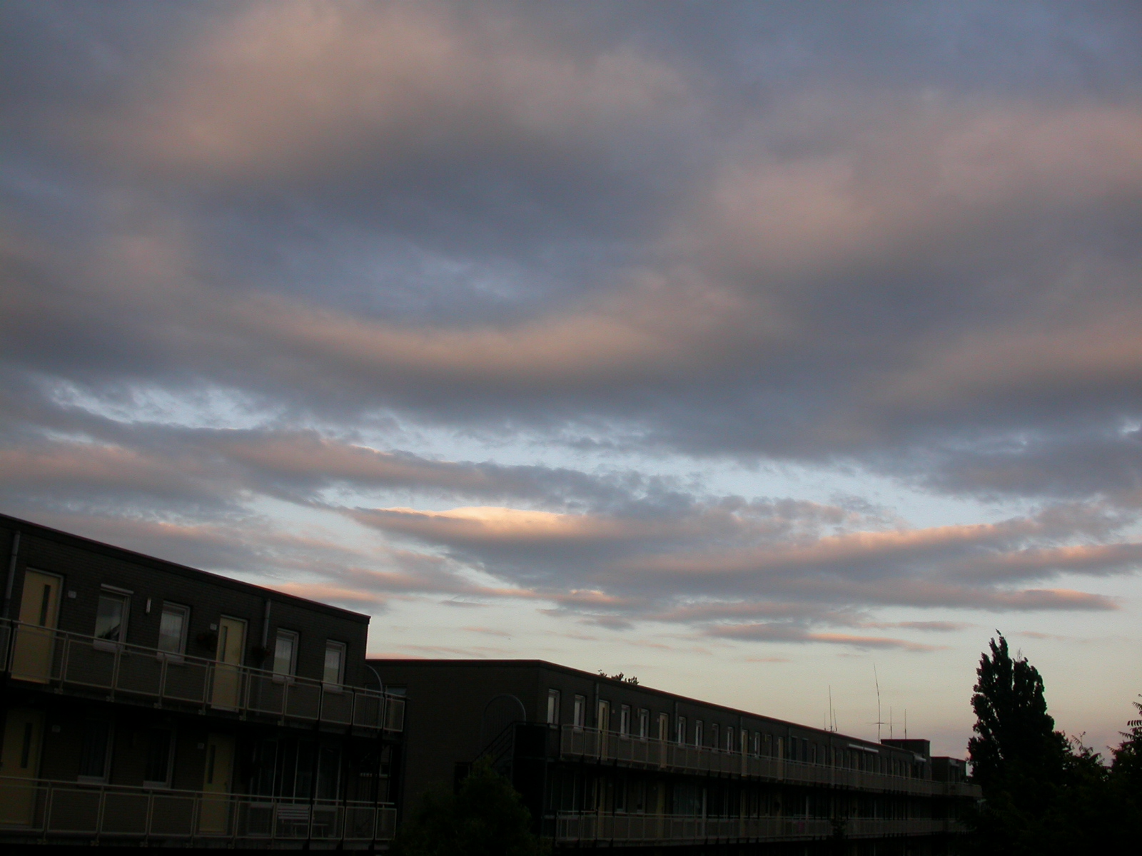 eva hous suburb row rows of houses dark dusk sky