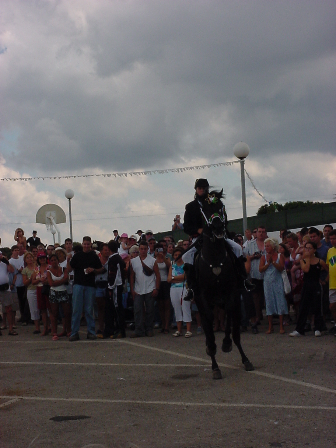 insektokutor horse festival rider black crowd