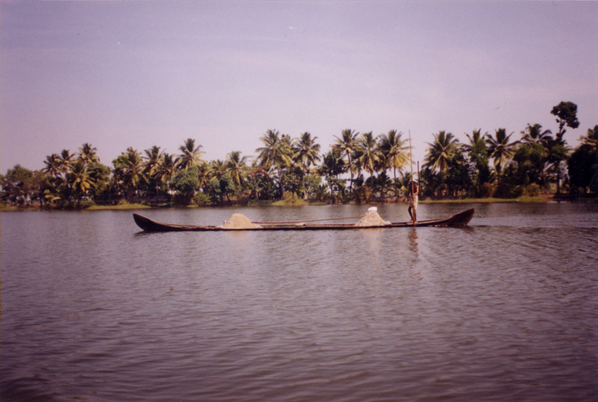 iuliana asian country palm trees river boat pole tropics