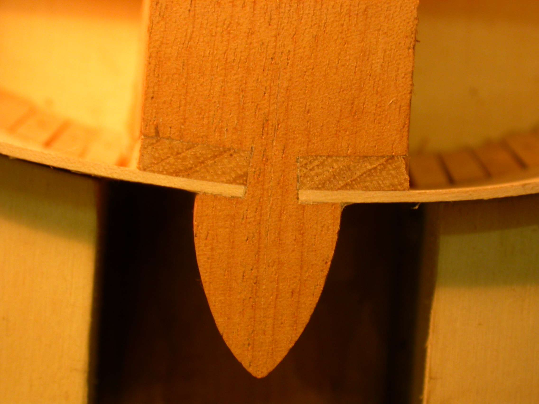paul instrument violin craft in the making making school wood angle