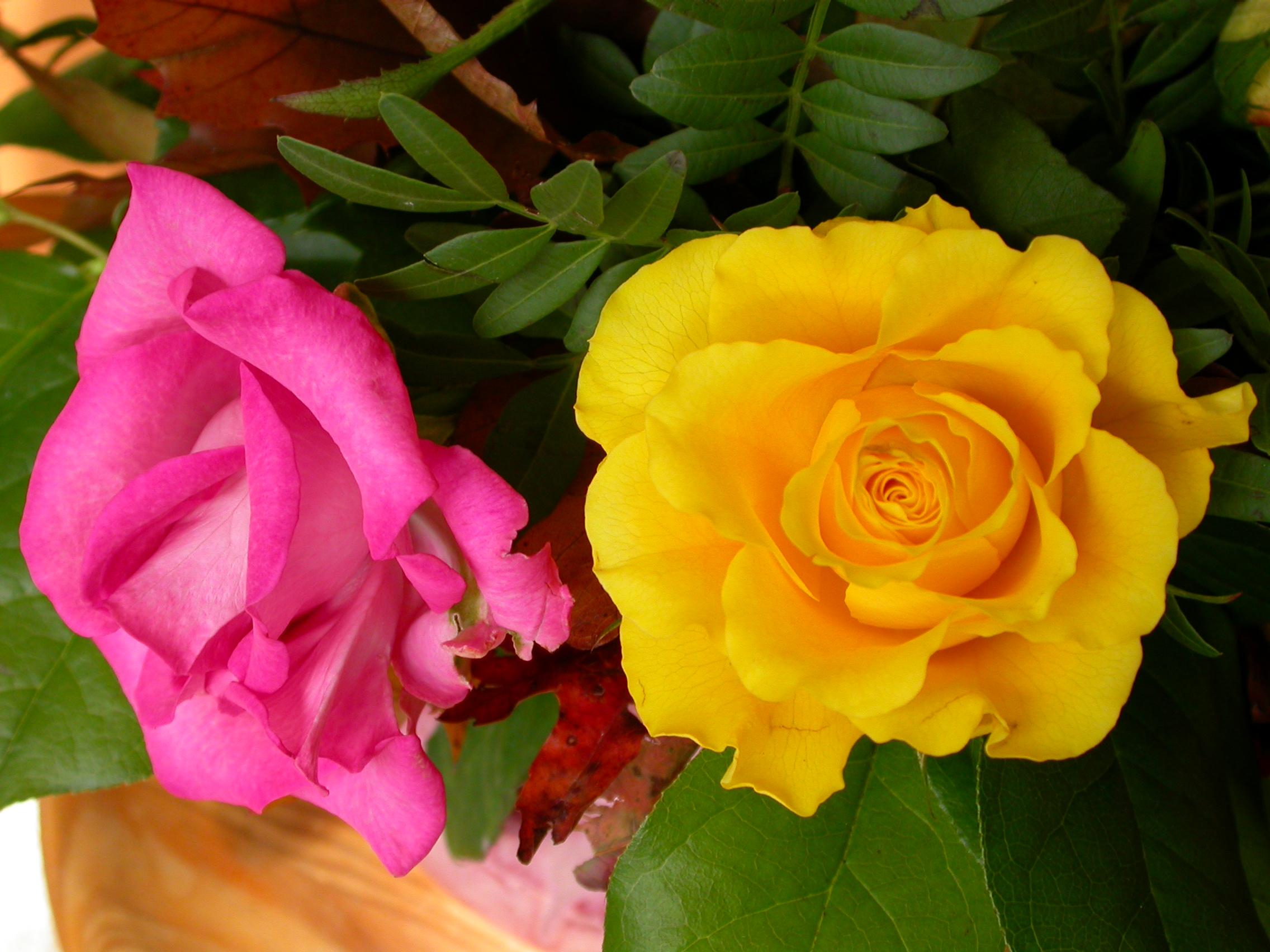 paul bouquet flowers roses pink yellow