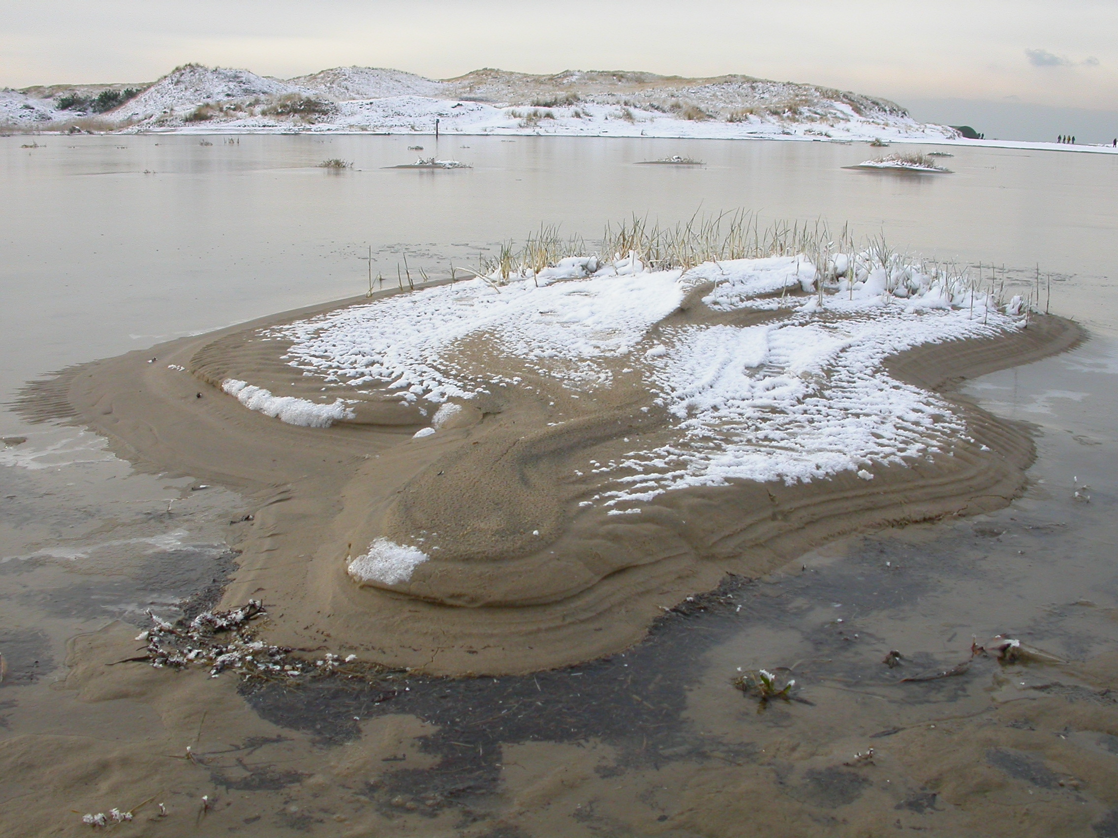 paul lake in dunes in winter schoorl the netherlands frost snow cold