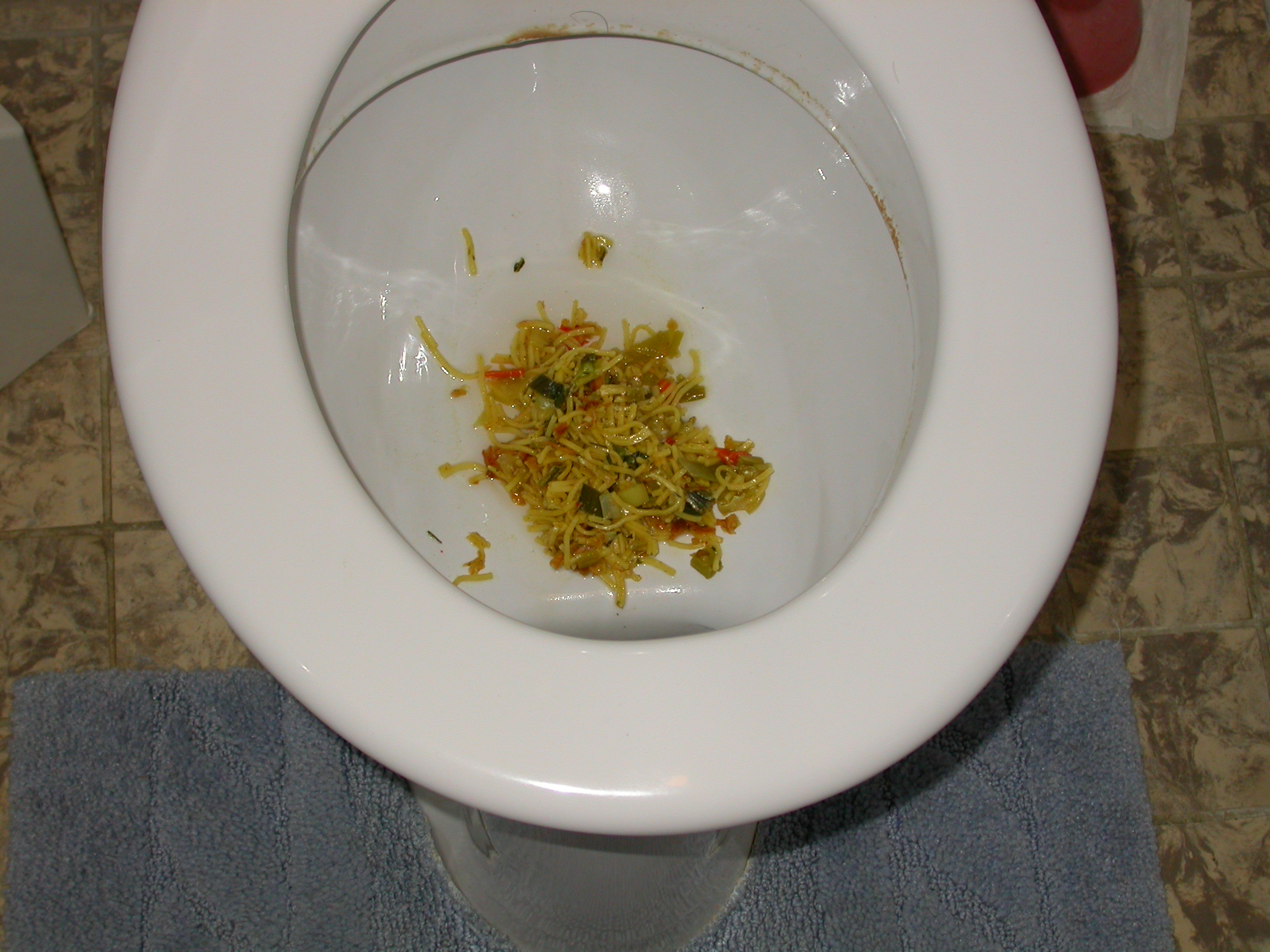 paul spaghetti in a toilet bowl (huh?) puke wc disgusting