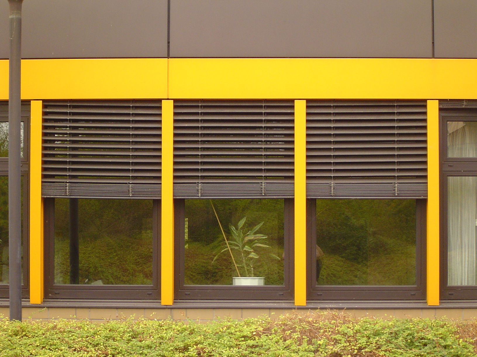 rigoletto facade windows yellow pane glass