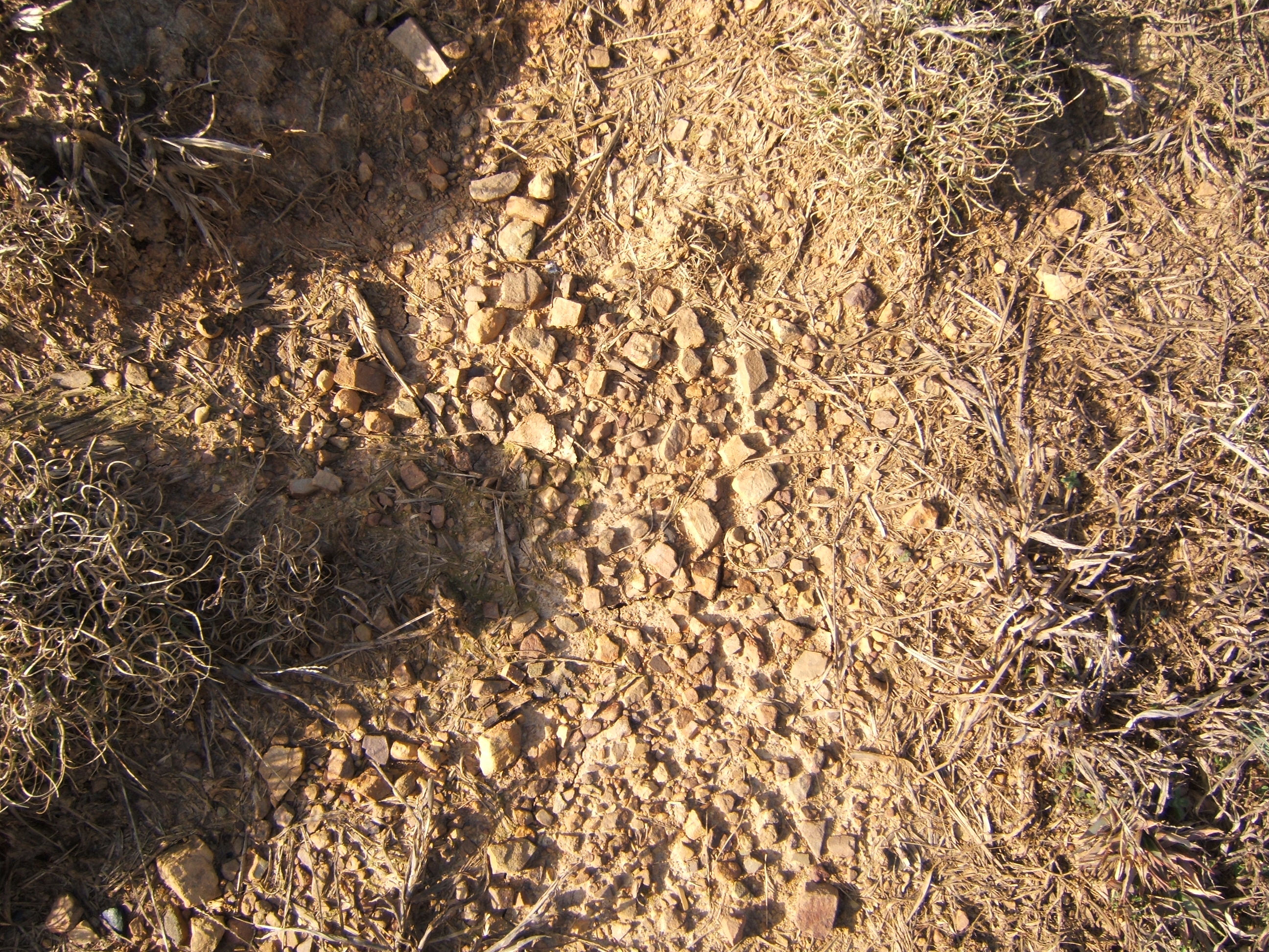 shanenieb ground dust dry desert brown pebbles outback