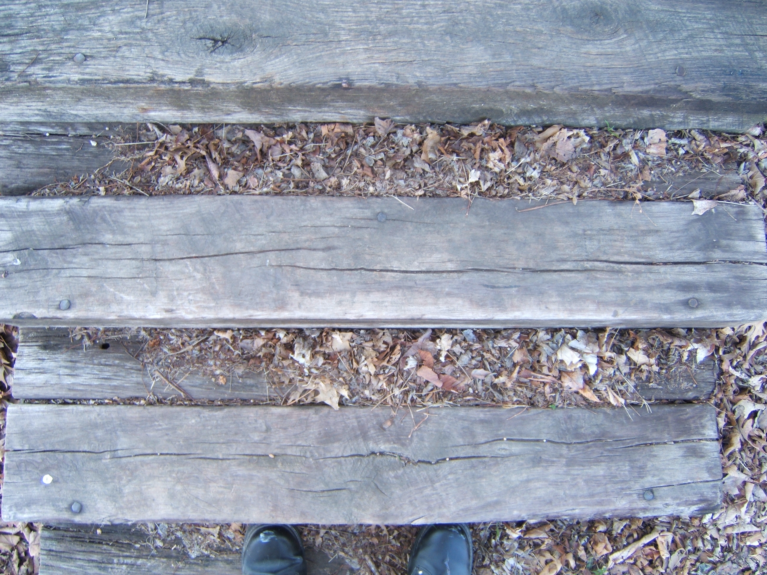 shanenieb wood texture grounds path log logs shoes feet nail nails