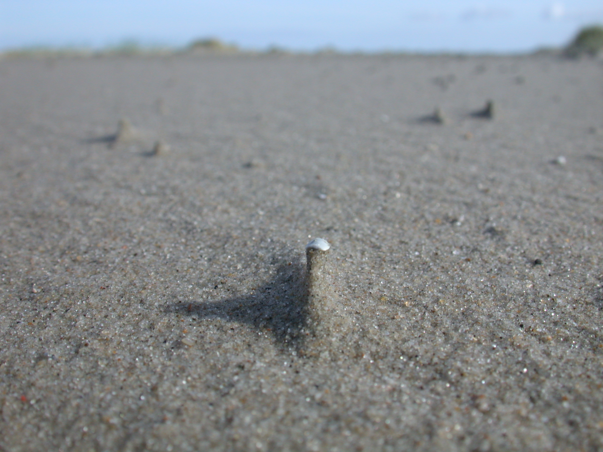 pile of sand on beach shore coast image