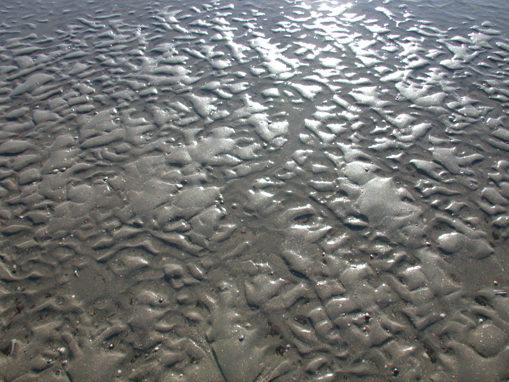 sand water glistening beach sun reflection