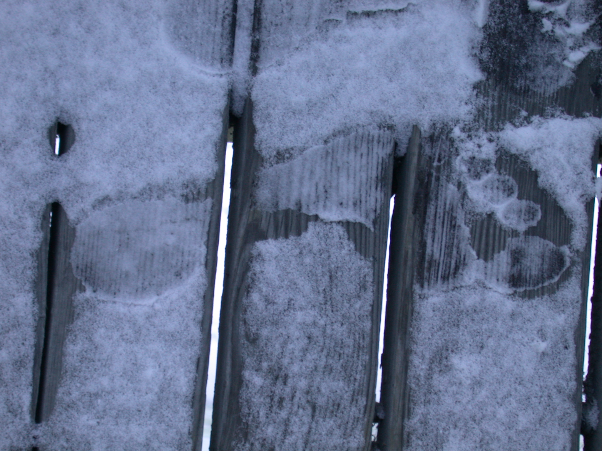 nature elements woods texture footprint winter snow planks floor grounds barefoot foot