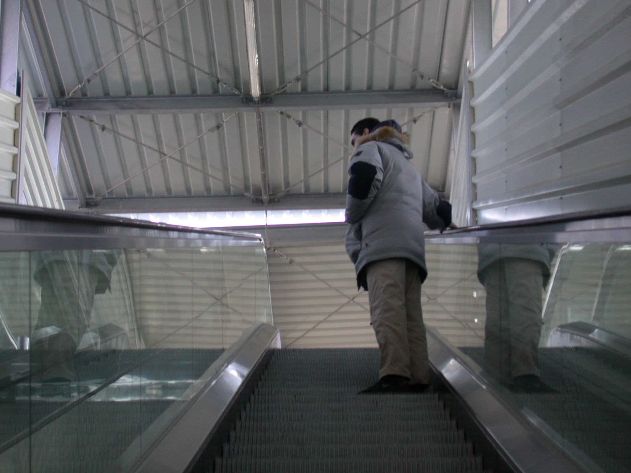 nature characters humanoids dario man moving staircase escalator station