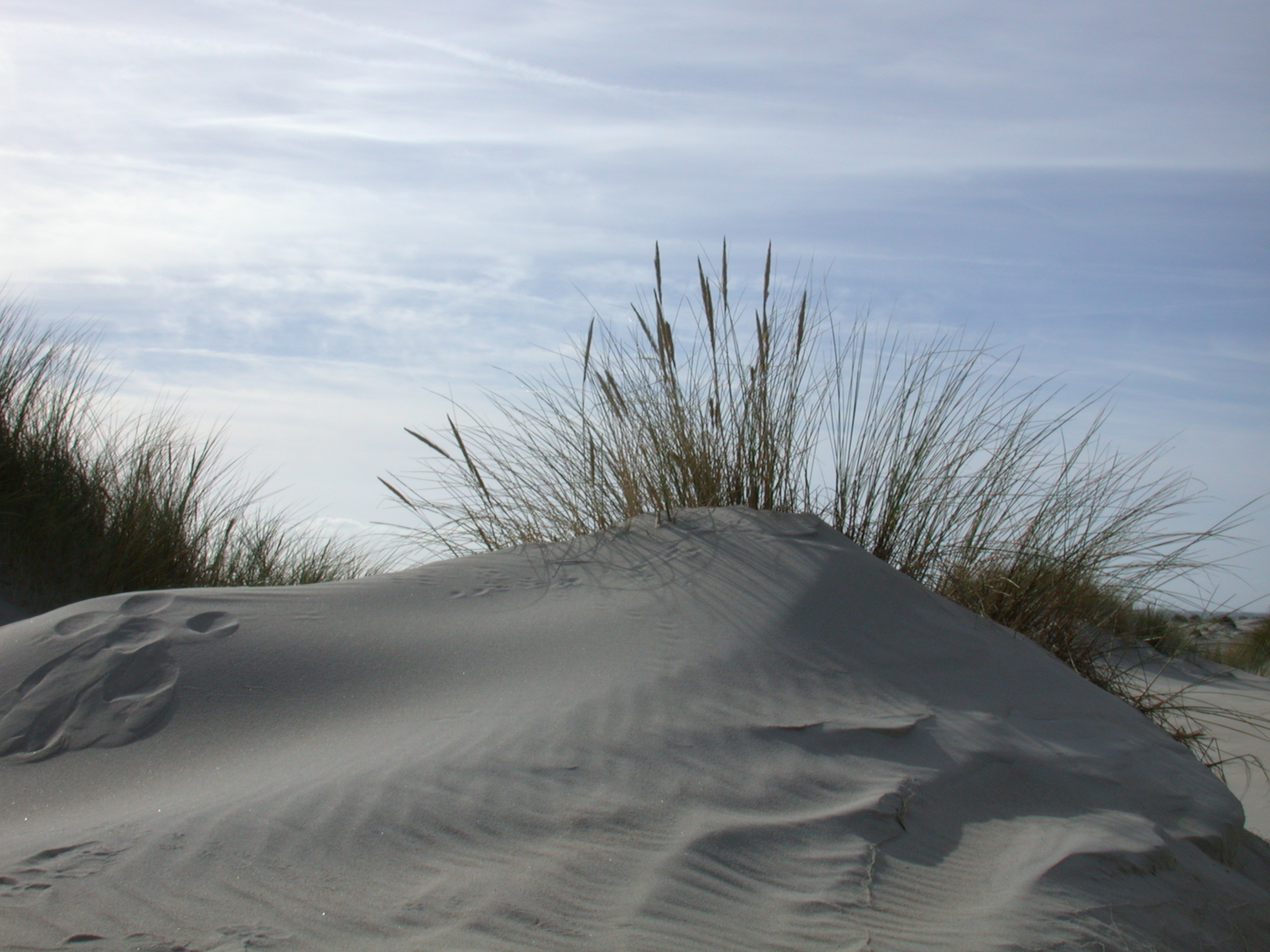 nature landscapes dunescape dune dunes beach